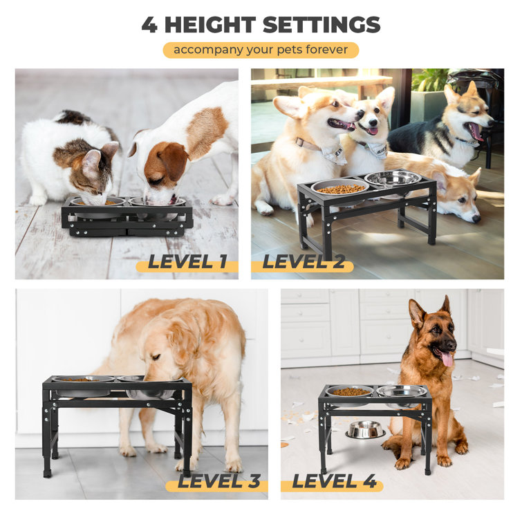 Adjustable elevated dog clearance feeder